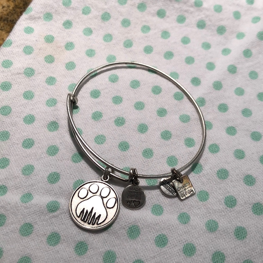 Alex and ani bangle